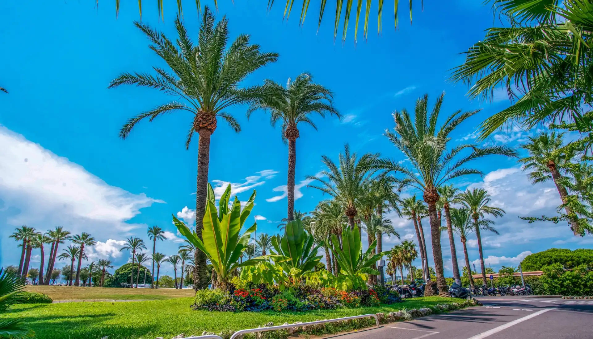 Fransa Côte d’Azur Turu