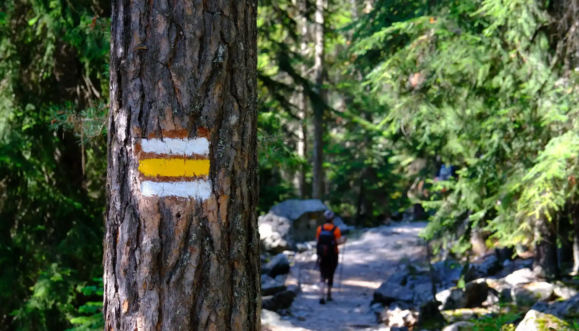 Premium Gürcistan Bsatum Svaneti Mestia Turu Macerası: Batum, Mestia, Ushguli ve Svaneti Turu Gökyüzü
