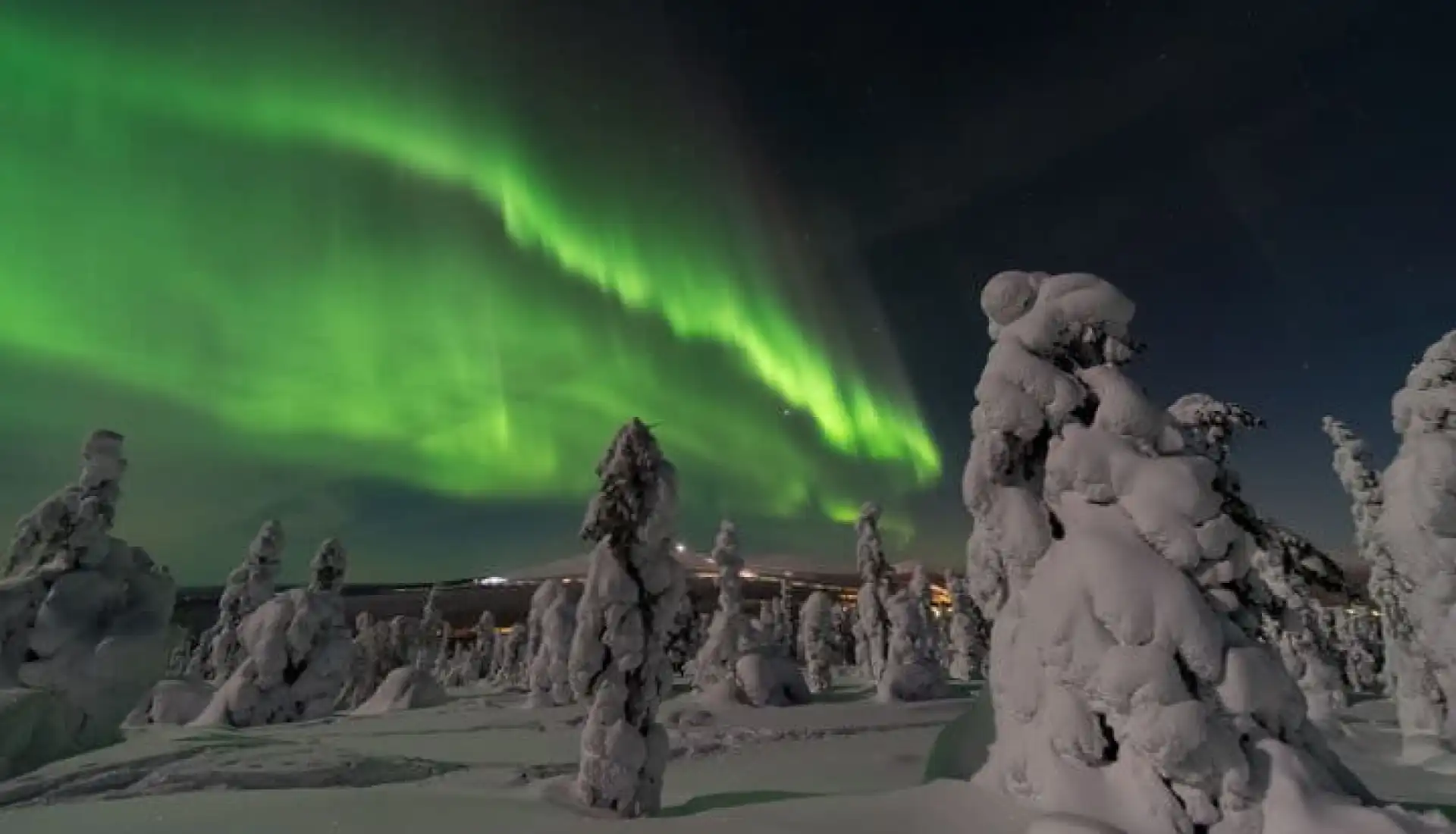 Finlandiya Karlı Ağaçlar ve Yeşil Kuzey Işığı