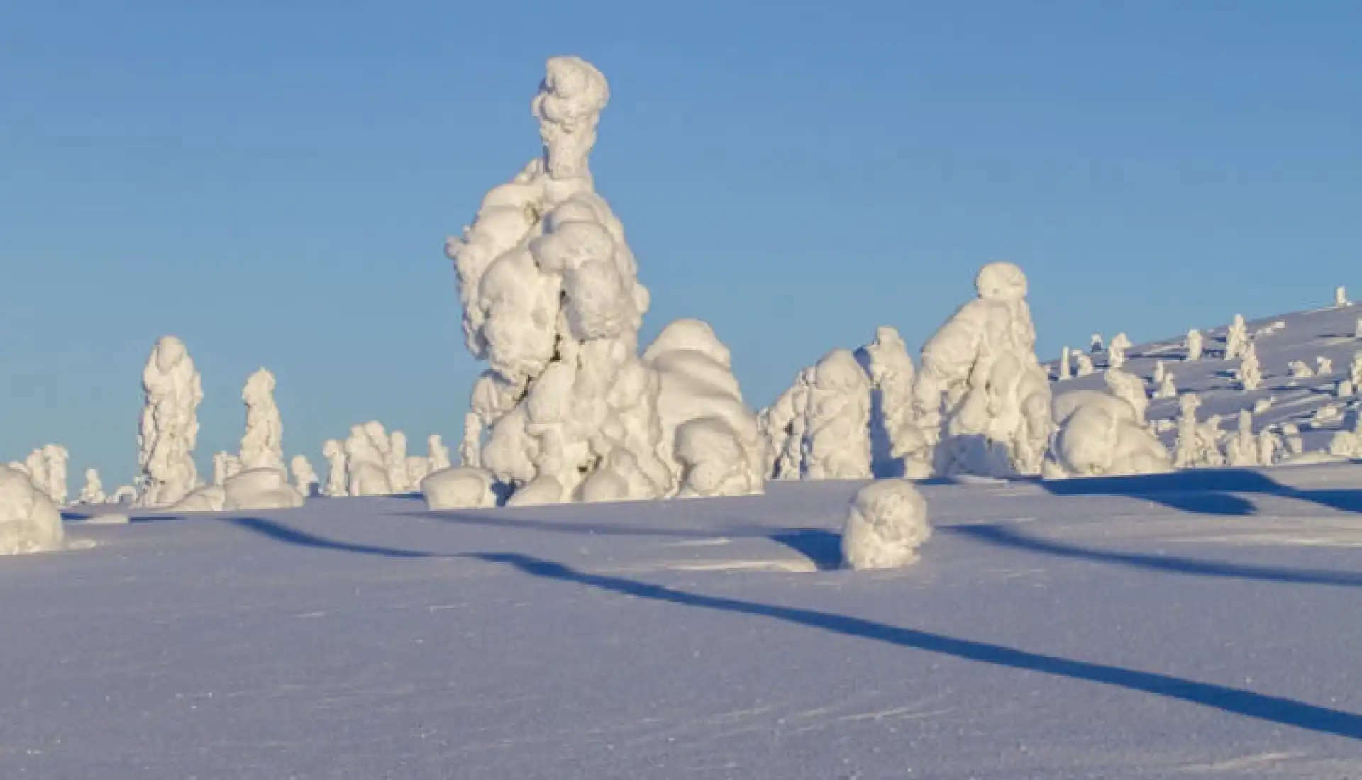 Finlandiya - Lapland Kuzey Işıkları Turu