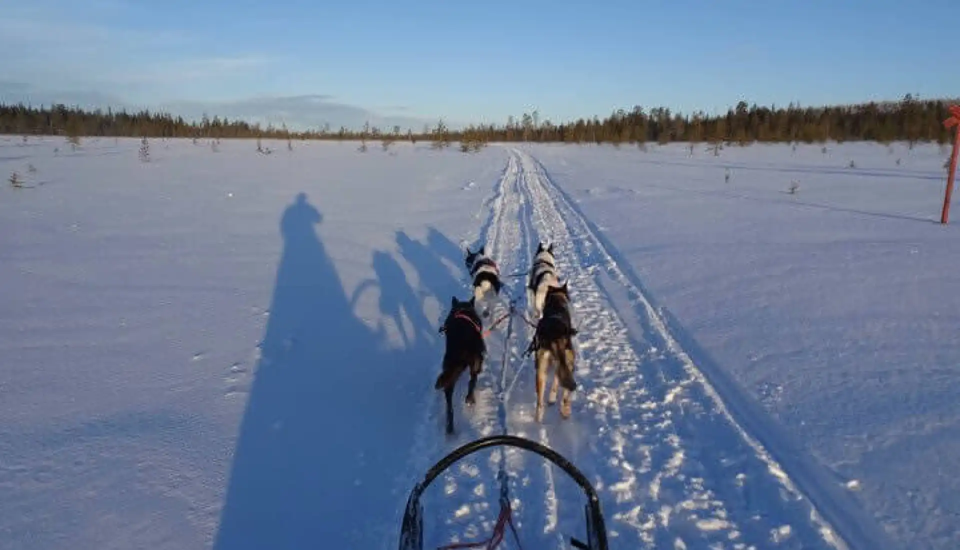 İsveç - Lapland Ve Kuzey Işıkları (Igloo Konaklamalı)