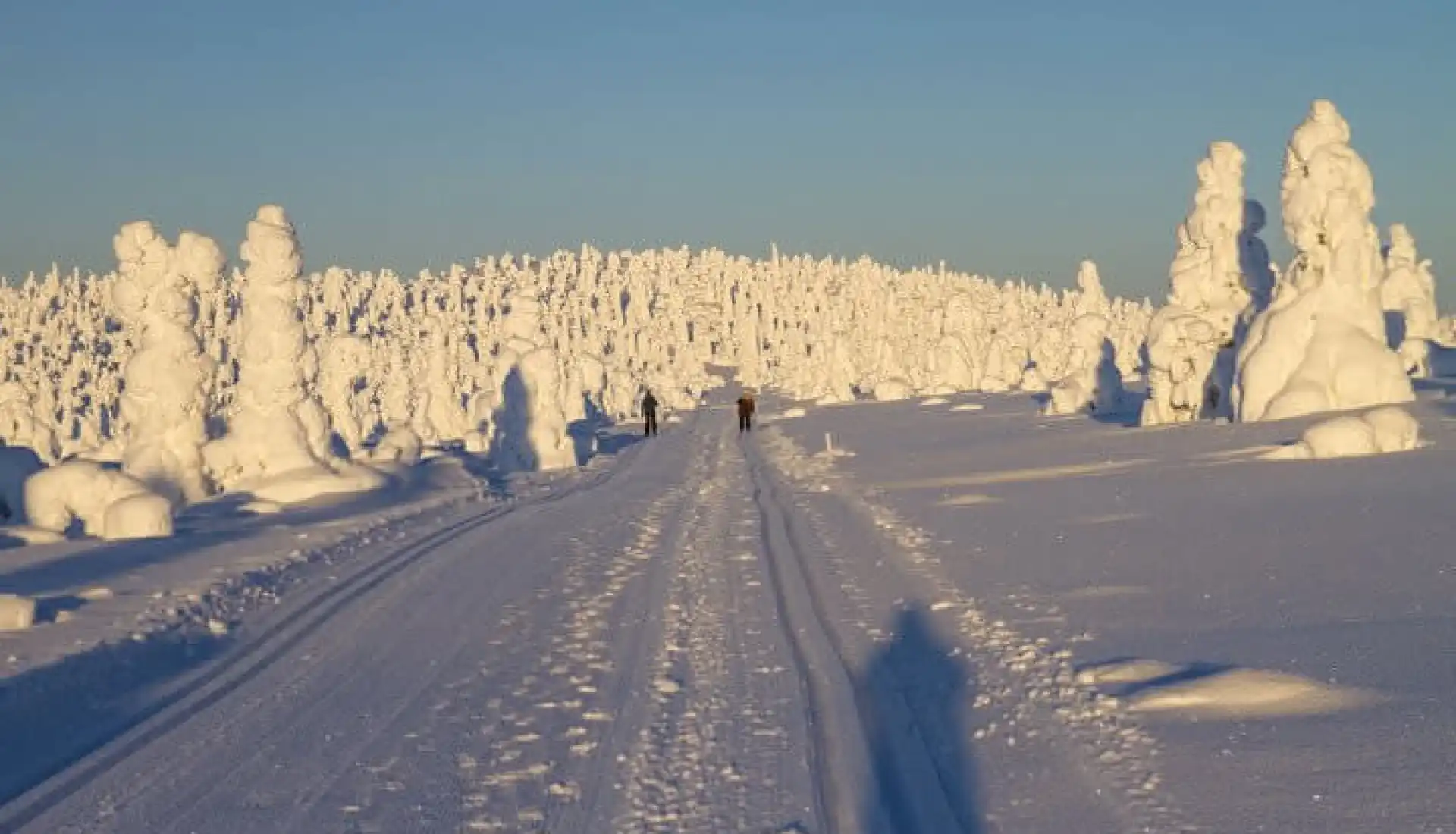 İsveç - Lapland Ve Kuzey Işıkları (Igloo Konaklamalı)