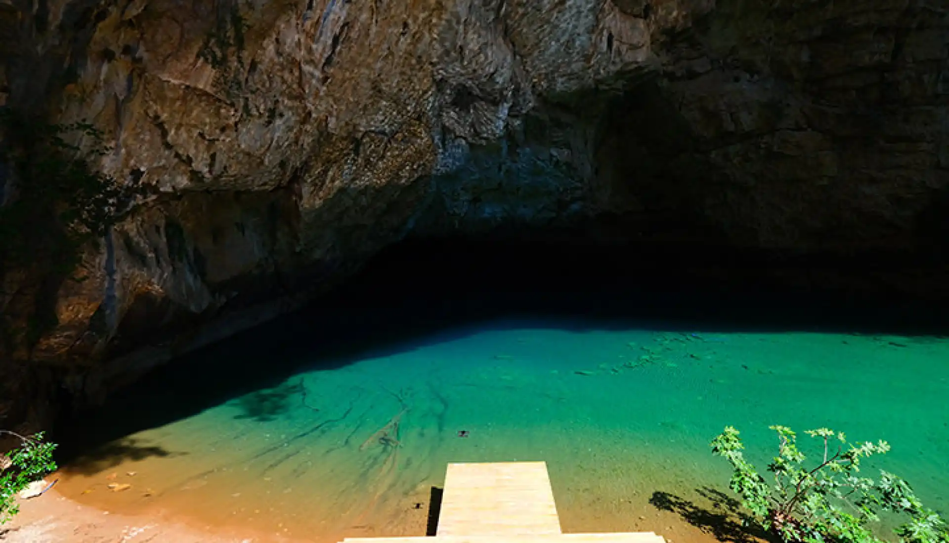 Ormana Düğmeli Evler