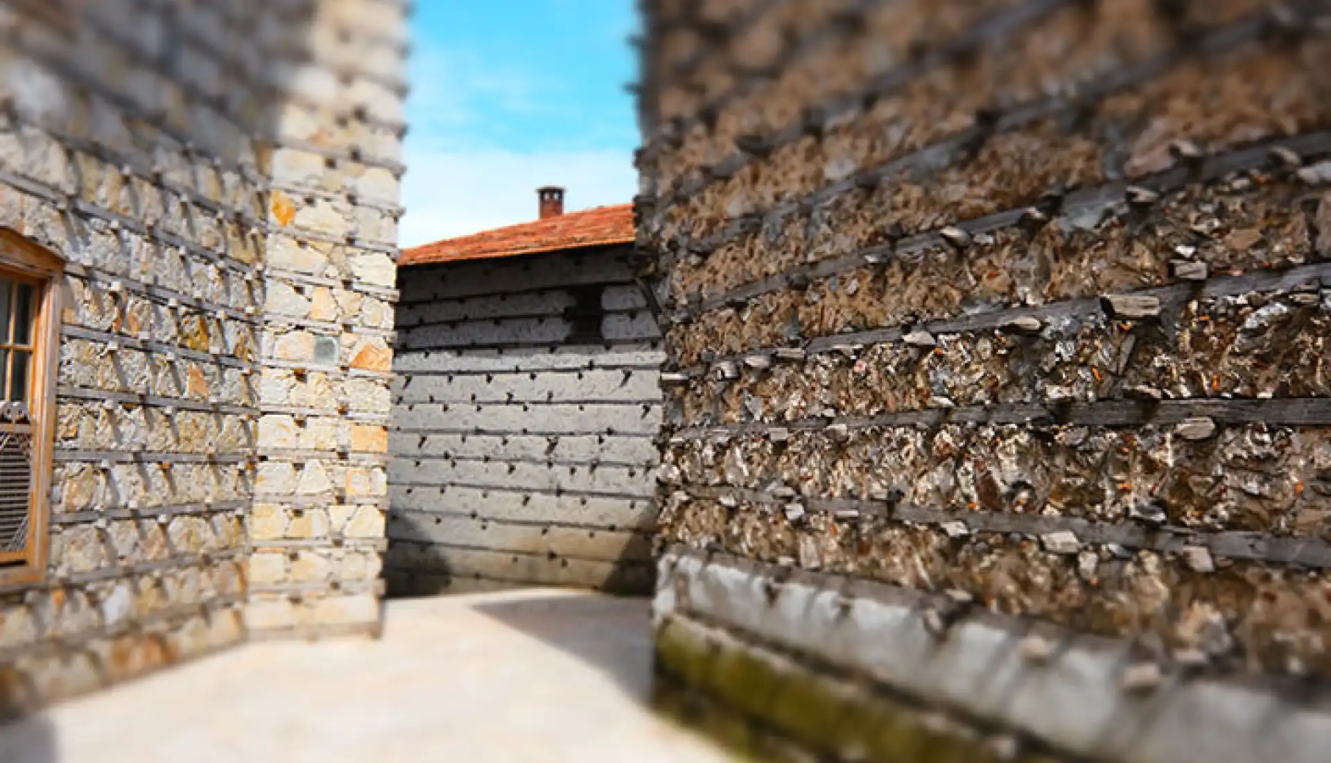 Ormana Düğmeli Evler