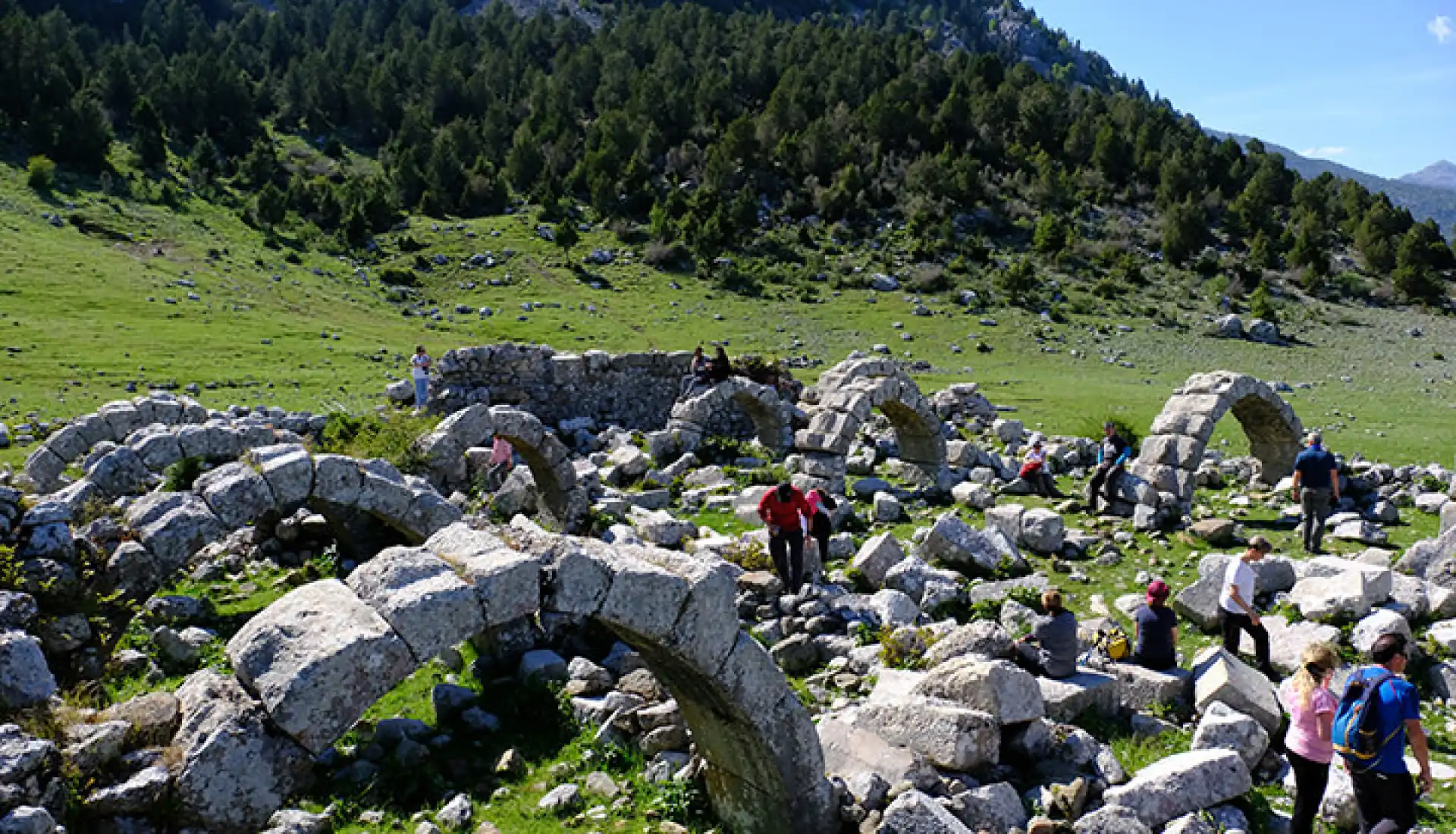 Ormana Düğmeli Evler