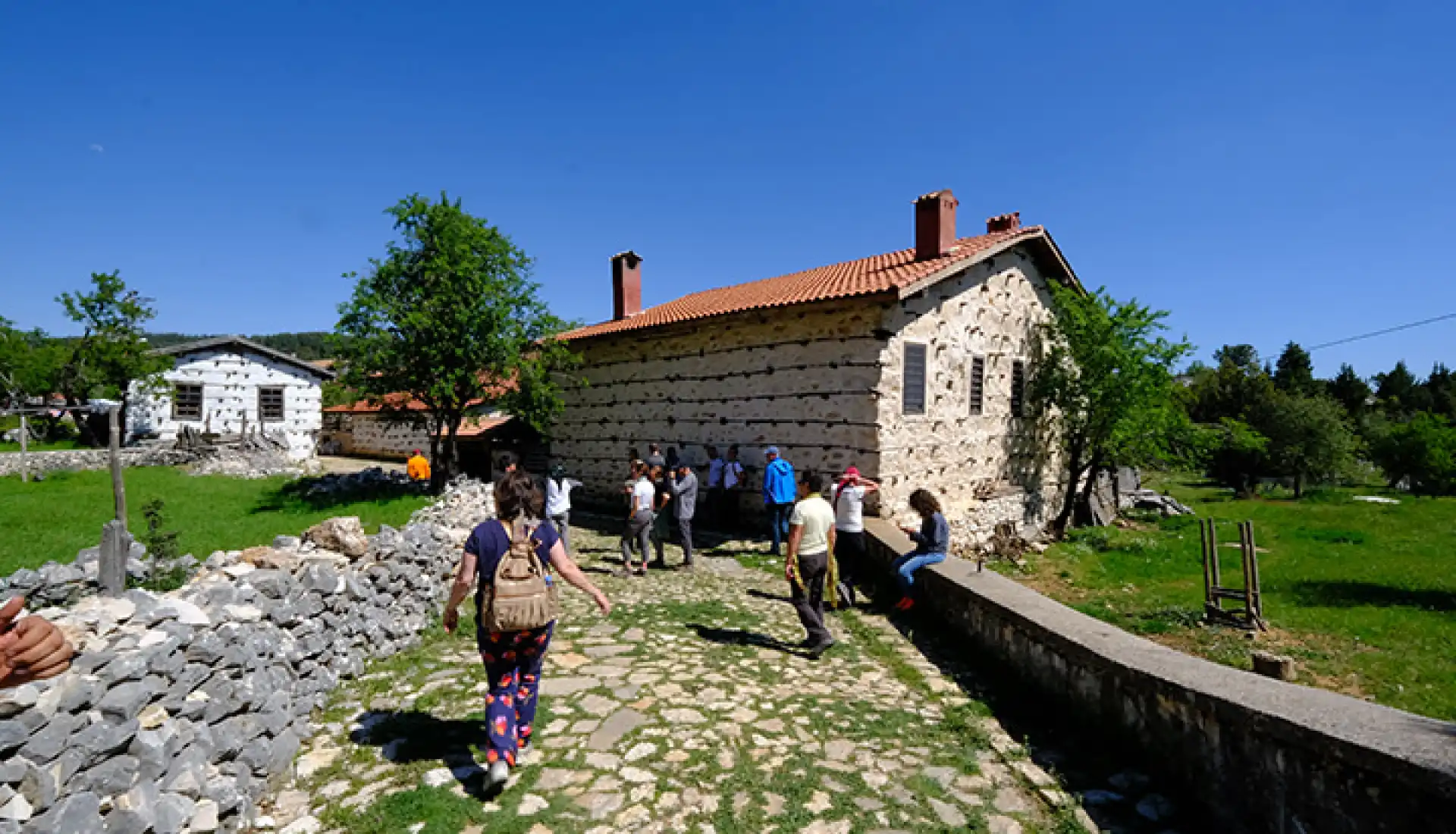 Ormana Düğmeli Evler