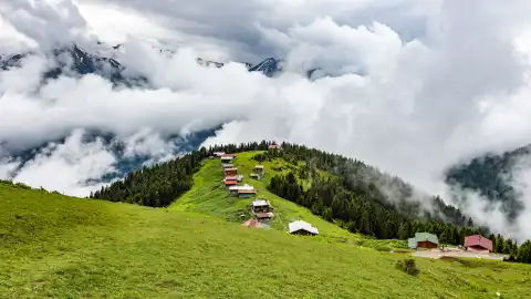 Pokut Yaylası