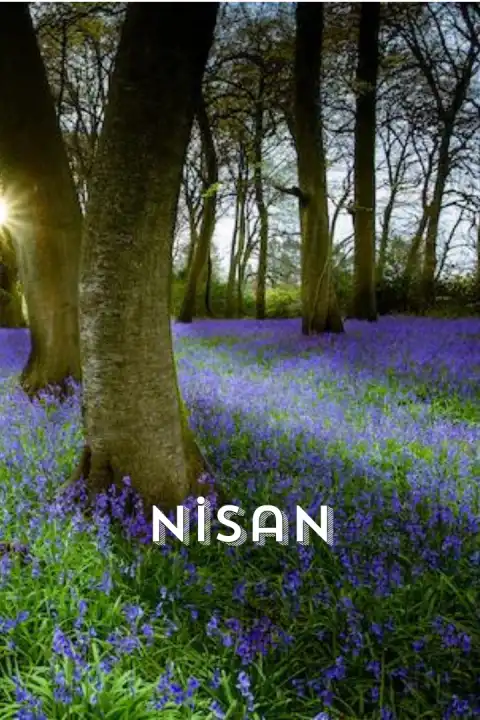 Bukla Tur Nisan Ayı Turları