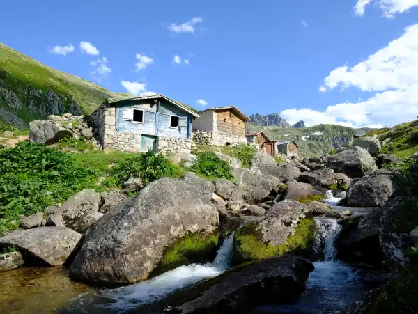 Yerel yaşam deneyimi