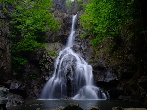 Günübirlik Erikli Yaylası