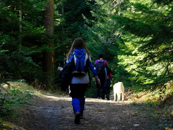 Sülüklügöl Günübirlik Yürüyüş