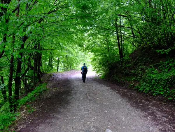 Menekşe Yaylası Günübirlik