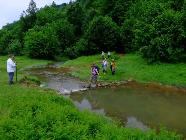 Menekşe Yaylası Günübirlik