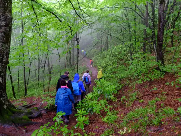 Menekşe Yaylası Günübirlik