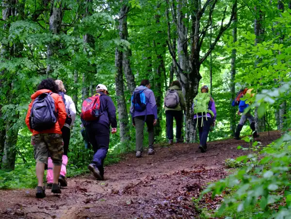 Menekşe Yaylası Günübirlik
