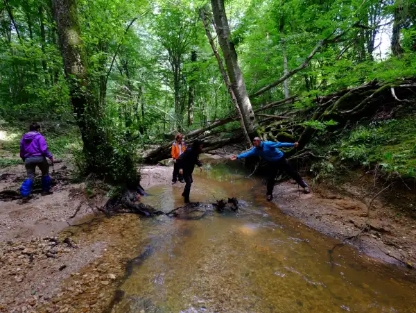 İğneada Çadır Kampı