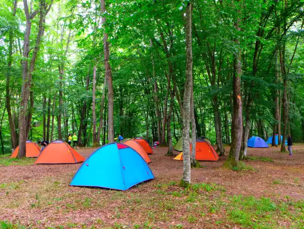 İğneada Çadır Kampı