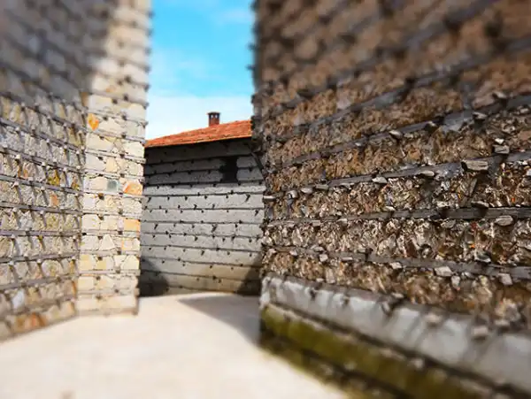 Ormana Düğmeli Evler