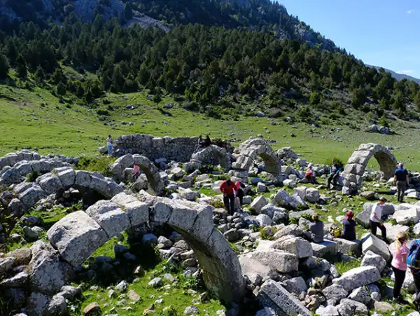 Ormana Düğmeli Evler