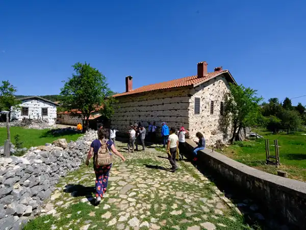 Ormana Düğmeli Evler