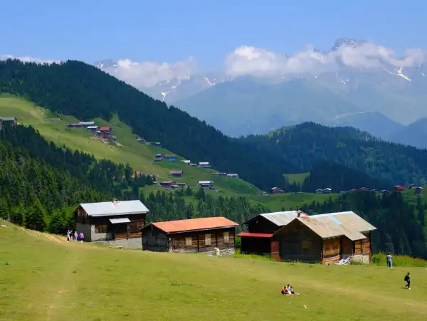 Tüm Doğu Karadeniz ve Gürcistan Turu Pokut Ve Sal Yaylası