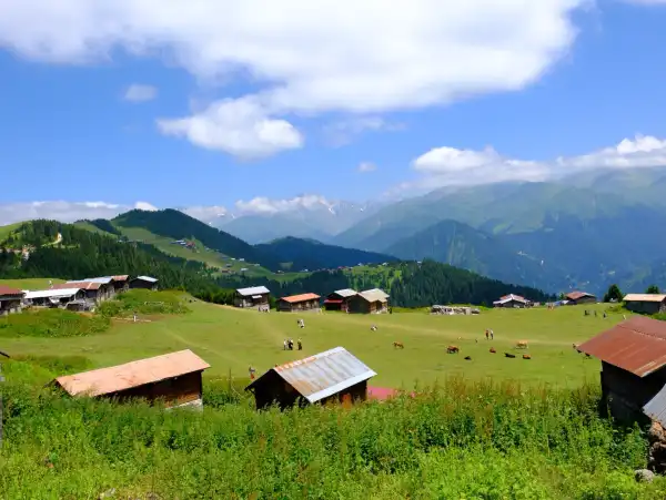 Pokut ve Sal Yaylaları Yaylalar arası yürüyüşler