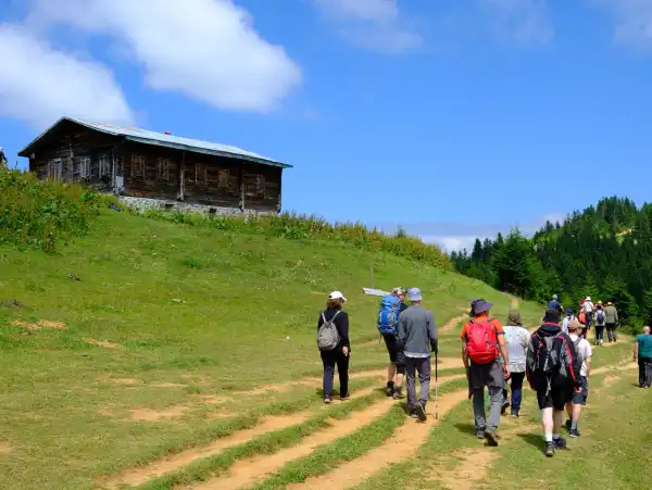 Sal Yaylası El değmemiş yaylalara geziler