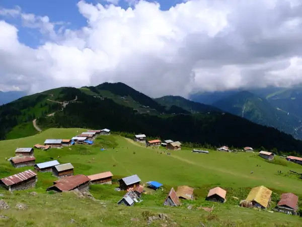 Pokut ve Sal Yaylaları Doğu Karadeniz Yaylaları