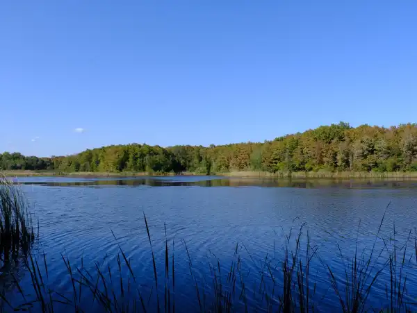 Saka Gölü İğneada Longoz Ormanları