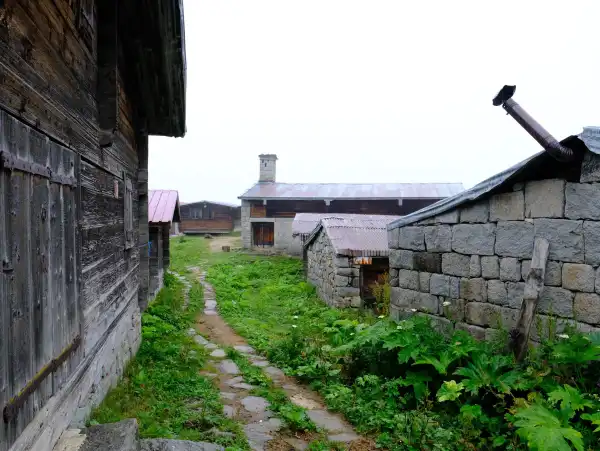 Premium Doğu Karadeniz Turu (4 Gece 5 Gün) Patika yol