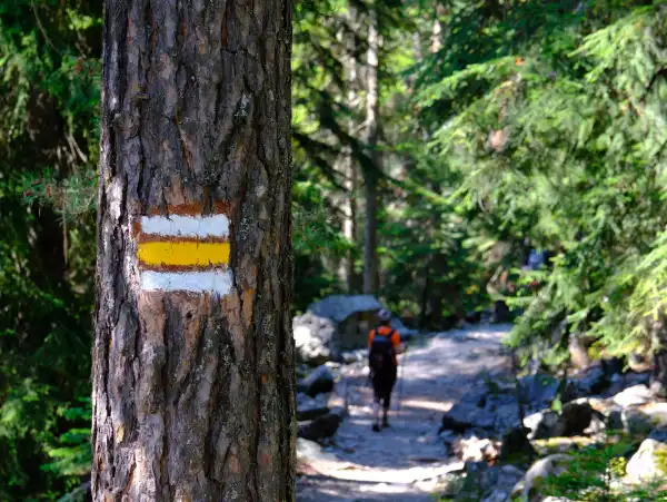 Doğa Yürüyüşleri Gürcistan Macerası: Batum, Mestia, Ushguli ve Svaneti Turu Yürüyüş