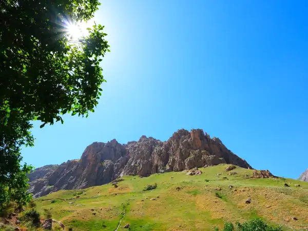 Hakkari Vadileri Hakkari Vadileri Ağaç