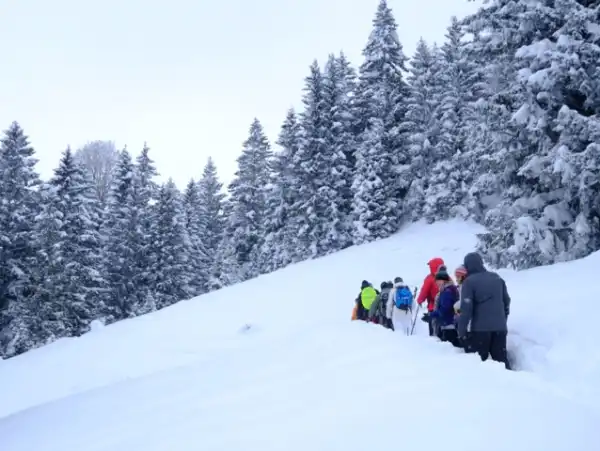Doğu Karadeniz'de Her Şey Dahil Yılbaşı Turu Doğu Karadeniz Nordic Otel'de Yılbaşı Turu