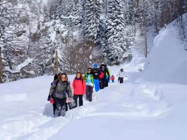 Doğu Karadeniz'de Her Şey Dahil Yılbaşı Turu Doğu Karadeniz Nordic Otel'de Yılbaşı Turu
