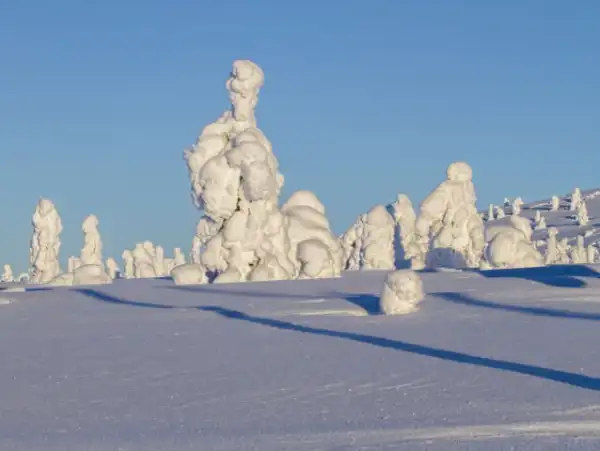 İsveç - Lapland Ve Kuzey Işıkları (Igloo Konaklamalı) İsveç - Lapland Ve Kuzey Işıkları (Igloo Konaklamalı)