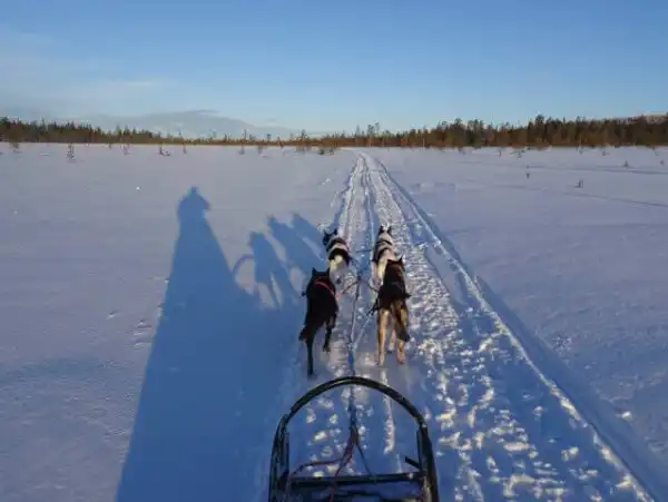 İsveç - Lapland Ve Kuzey Işıkları (Igloo Konaklamalı) İsveç - Lapland Ve Kuzey Işıkları (Igloo Konaklamalı)