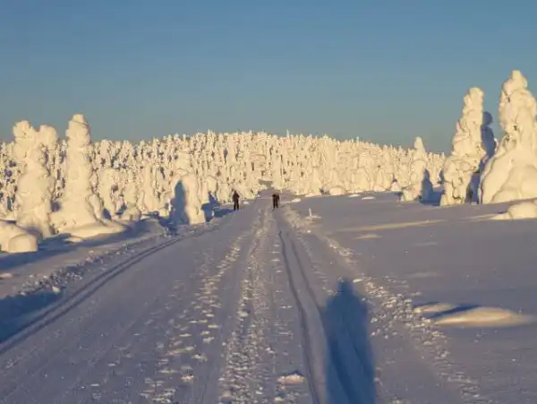 İsveç - Lapland Ve Kuzey Işıkları (Igloo Konaklamalı) İsveç - Lapland Ve Kuzey Işıkları (Igloo Konaklamalı)