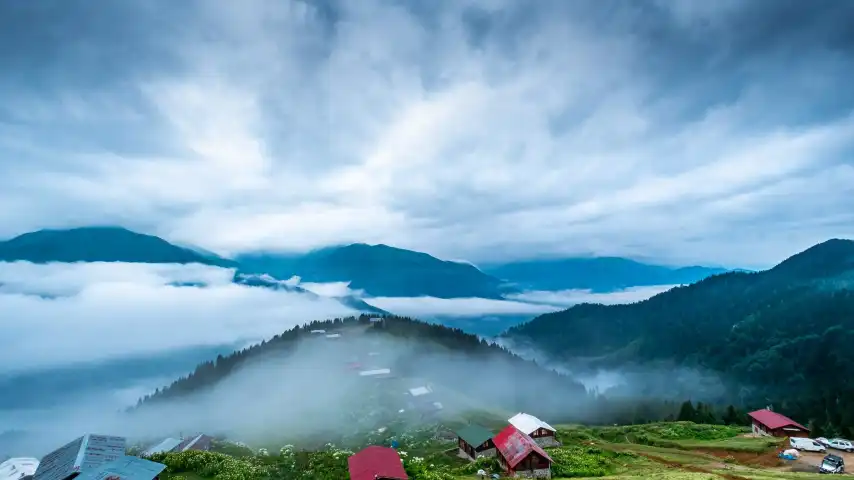 POKUT POKUT