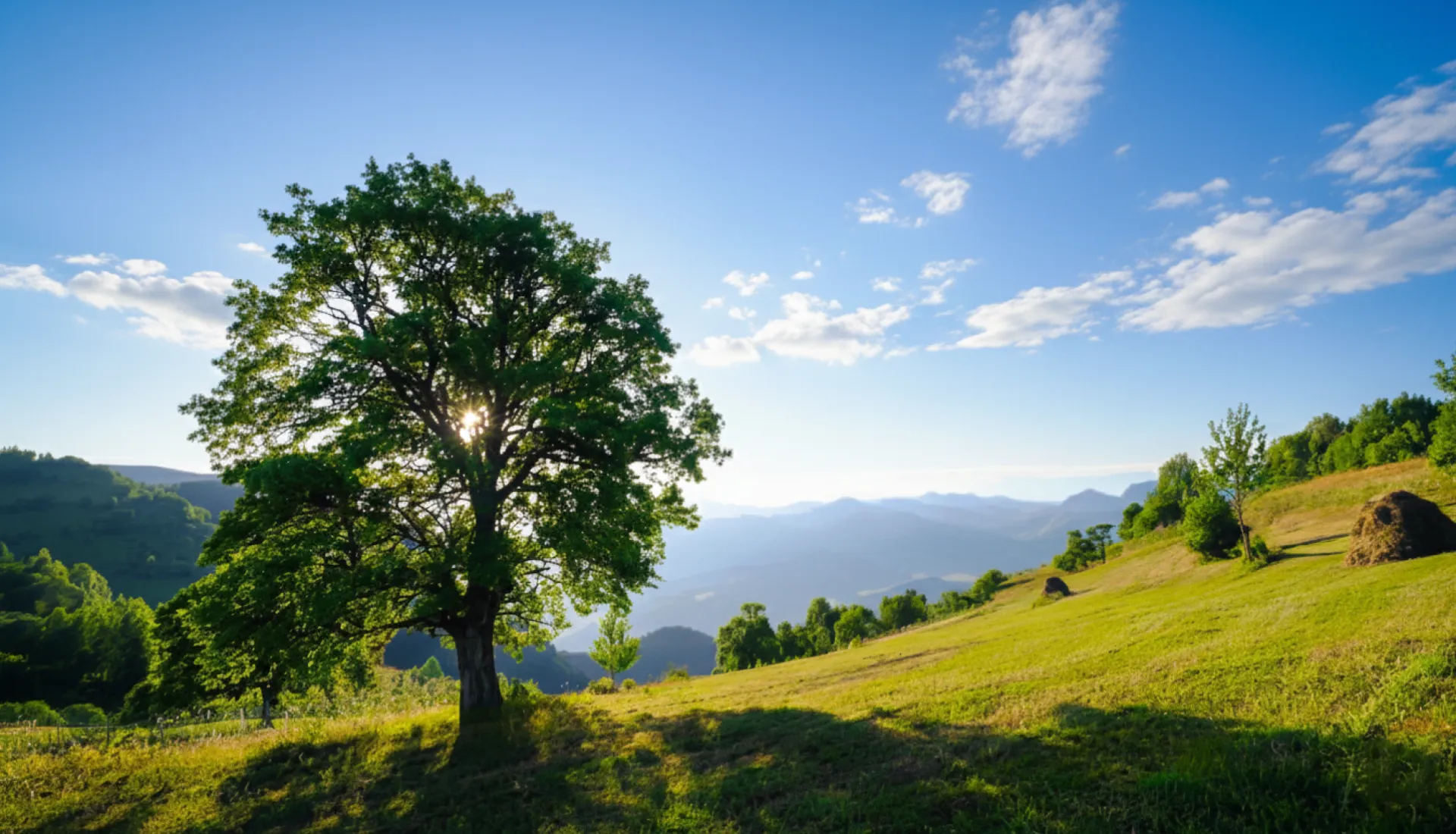 جولة ماجاحيل شافشات كاراغول