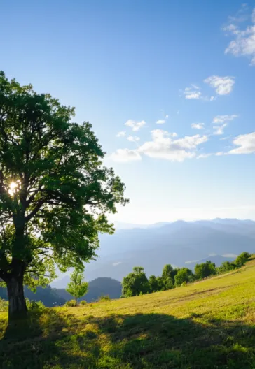 جولة ماجاحيل شافشات كاراغول