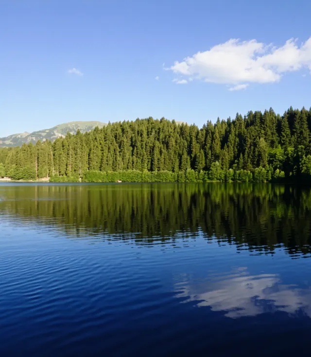 جولة ماجاحيل شافشات كاراغول