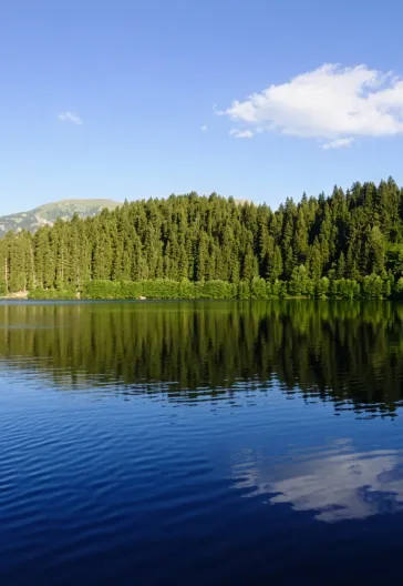 جولة ماجاحيل شافشات كاراغول