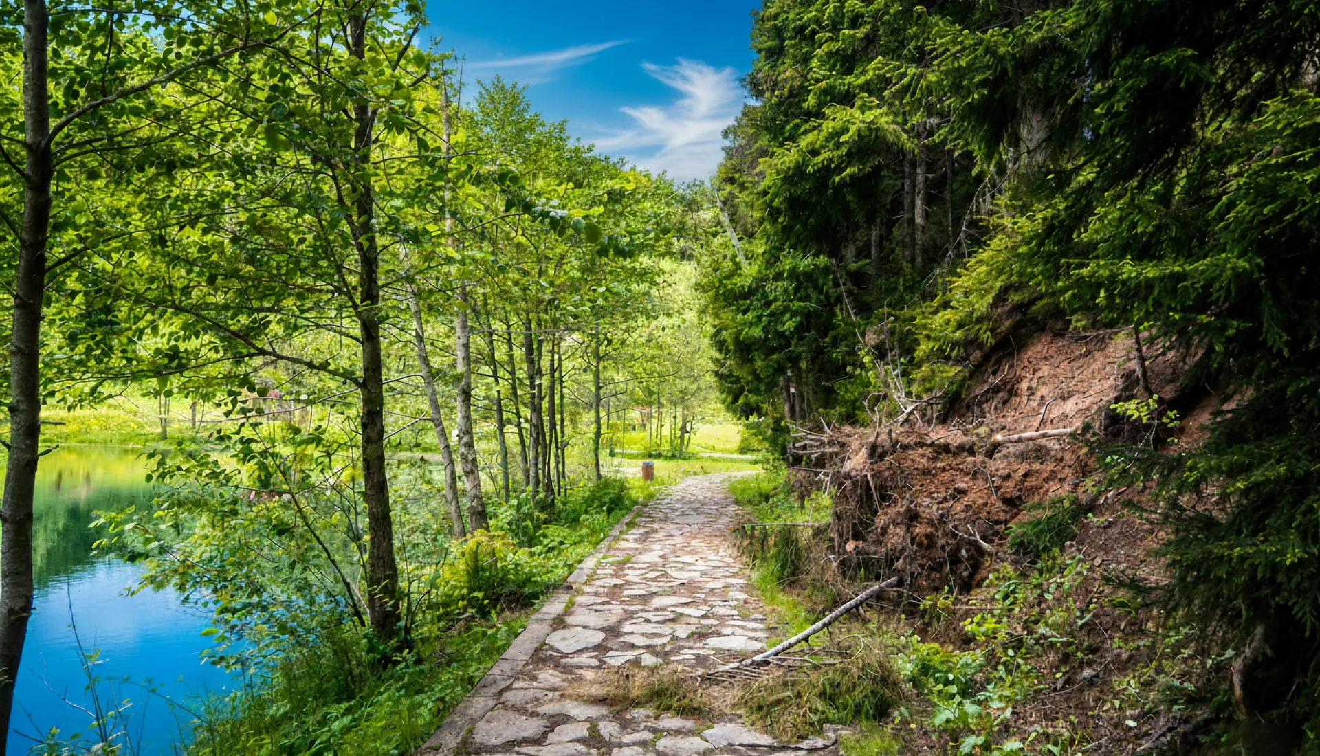 جولة ماجاحيل شافشات كاراغول