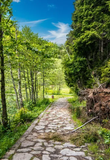 جولة ماجاحيل شافشات كاراغول