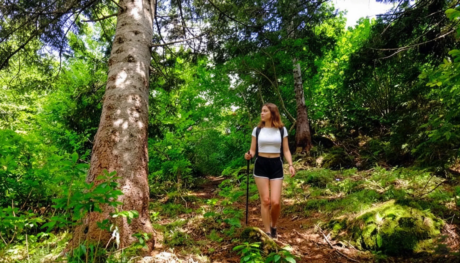 جولة ماجاحيل شافشات كاراغول