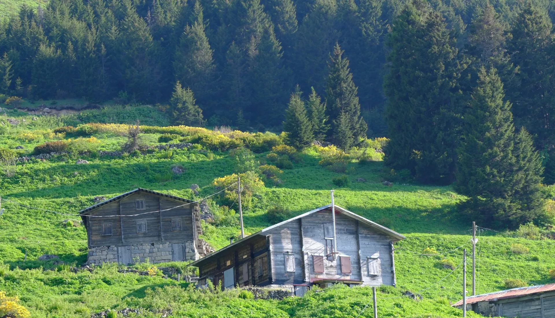 جولة ماجاحيل شافشات كاراغول