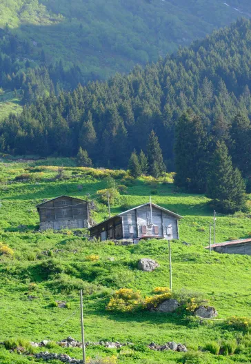 جولة ماجاحيل شافشات كاراغول