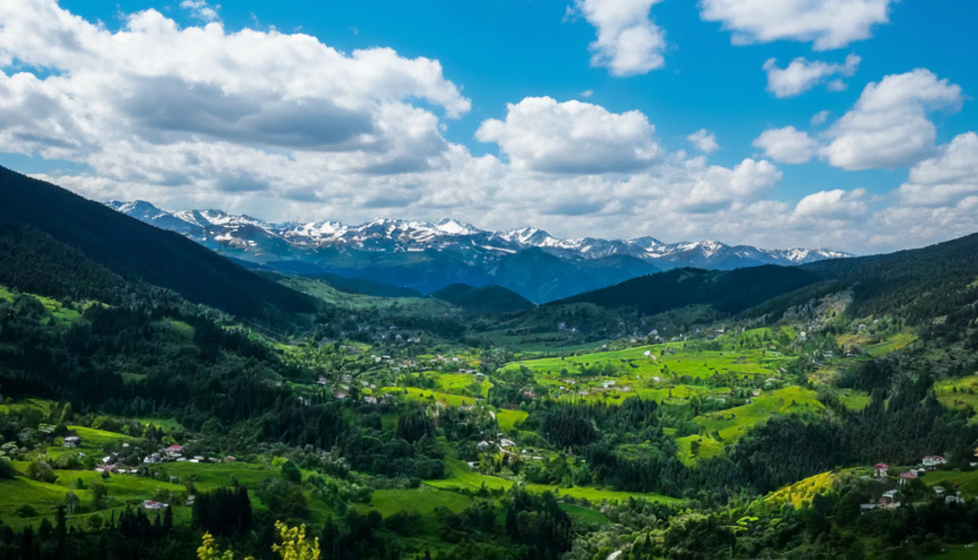 جولة ماجاحيل شافشات كاراغول