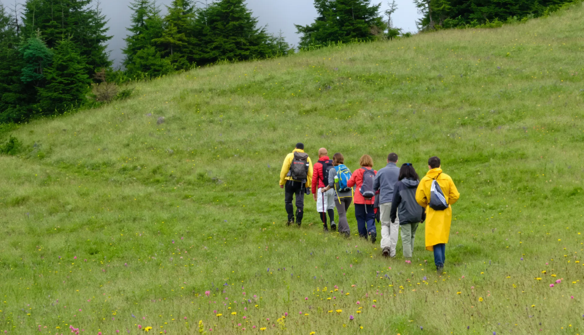 مسار عائشة أَرمان