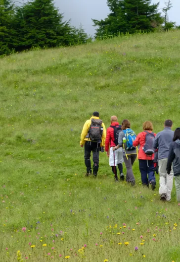 مسار عائشة أَرمان